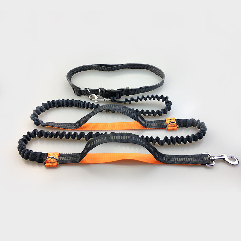 Multi-function running dog leash double elastic leash