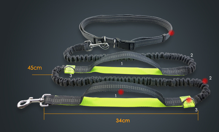 Multi-function running dog leash double elastic leash