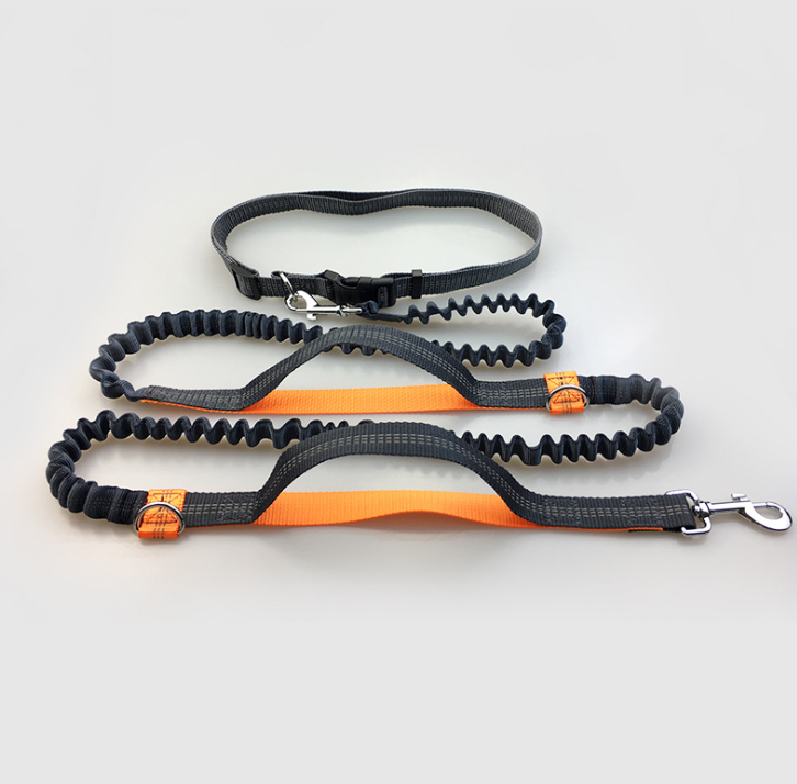 Multi-function running dog leash double elastic leash