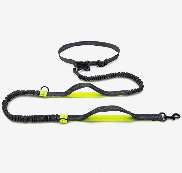 Multi-function running dog leash double elastic leash