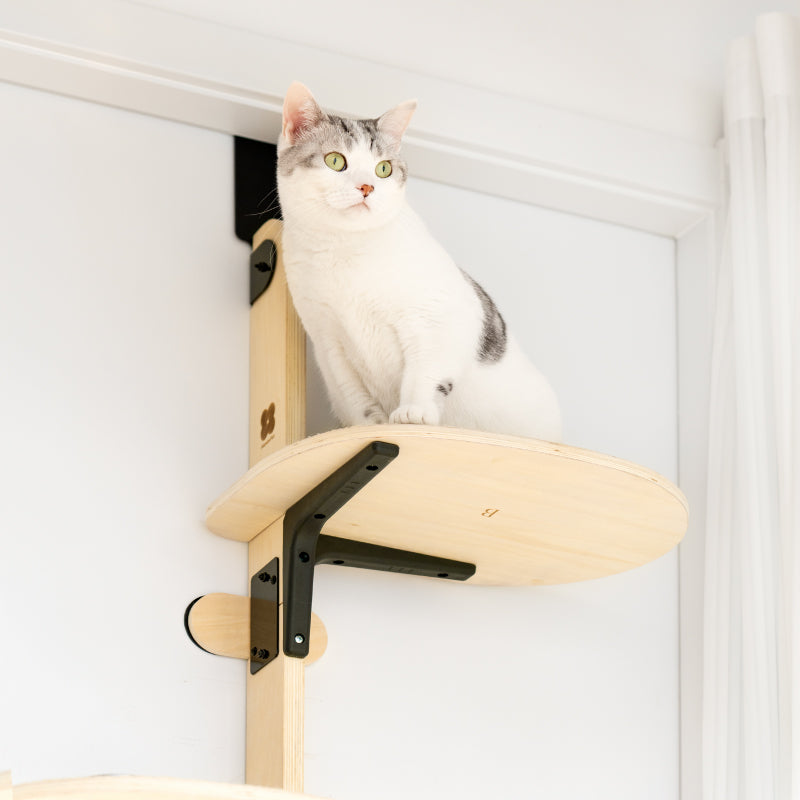 Mewoofun Upgrade Door Hanging, Pet Climbing Frame