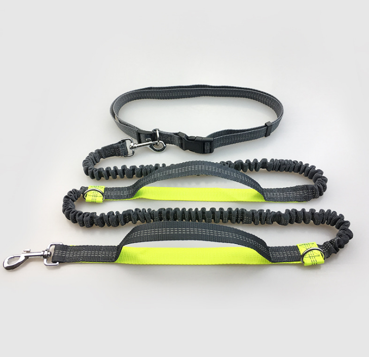 Multi-function running dog leash double elastic leash