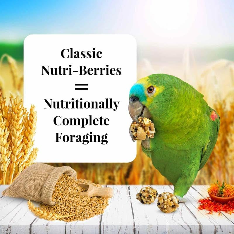 LAFEBER'S Classic Nutri-Berries Pet Bird Food, Made with Non-Gmo and Human-Grade Ingredients, for Parrots, 3.25 Lb