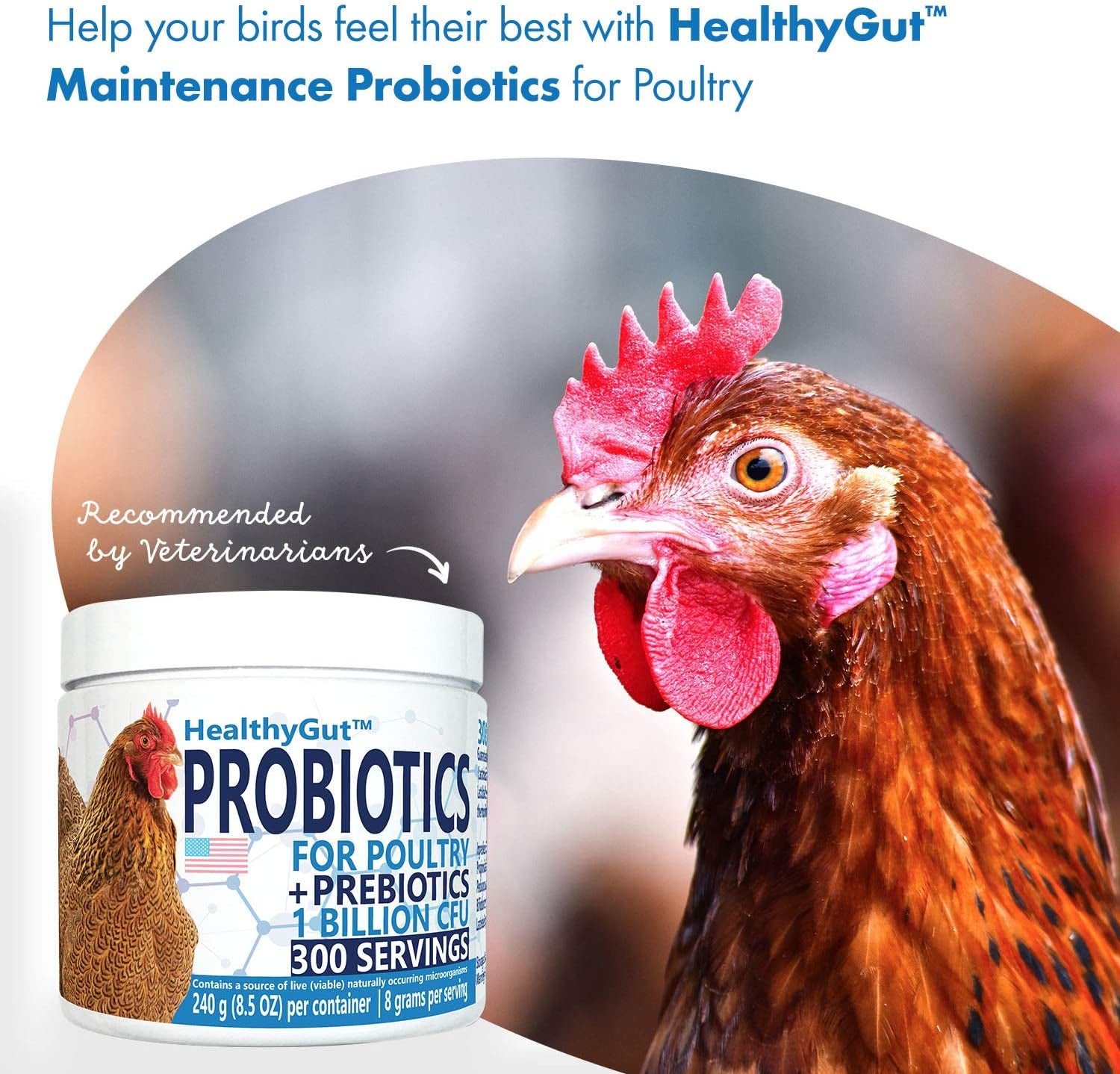 Equa Holistics Healthygut Probiotics for Chickens & Poultry, All-Natural Digestive System Dietary Supplement (30 Scoops)