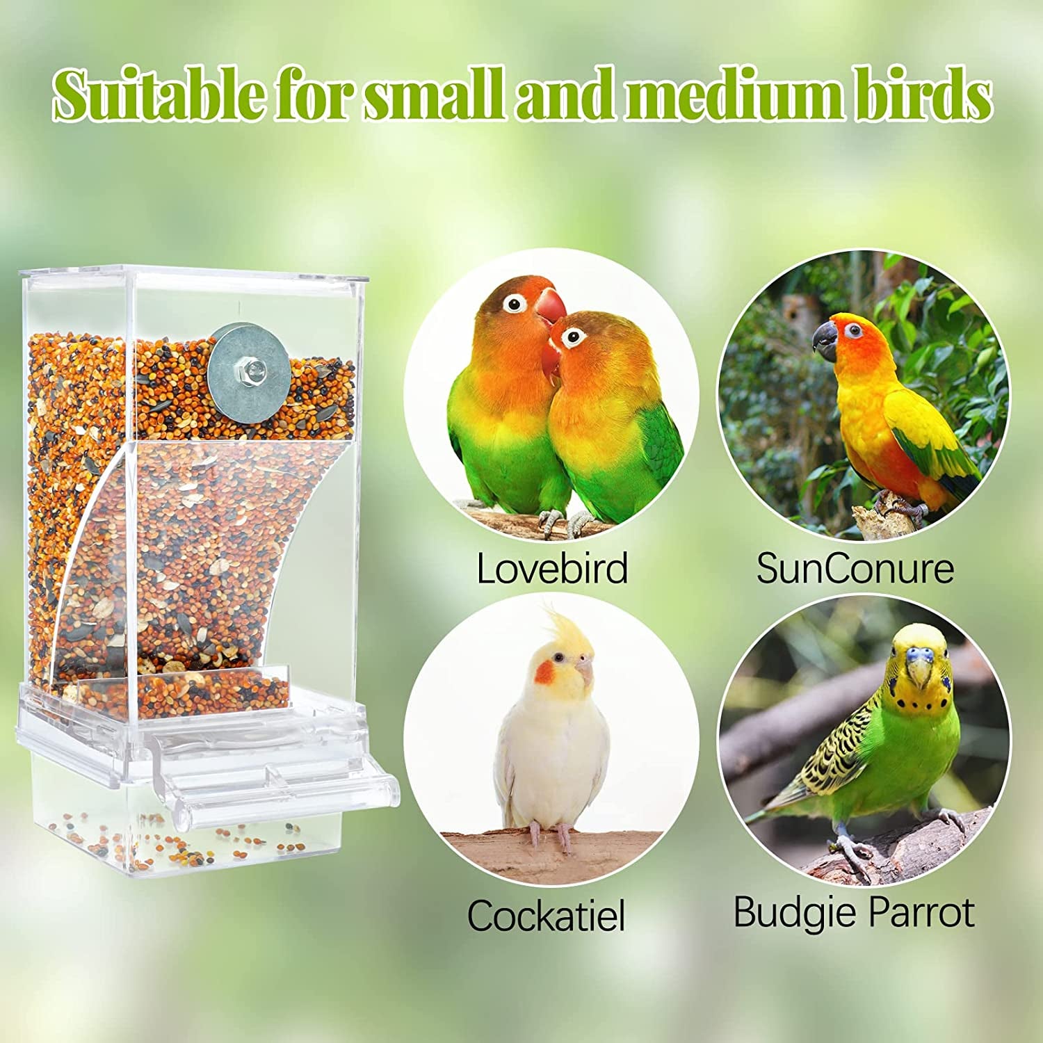 No Mess Automatic Bird Feeder Transparent Food Container Cage Acrylic Parrot Feeder Accessories for Small Birds Parrot Cockatoo Canary