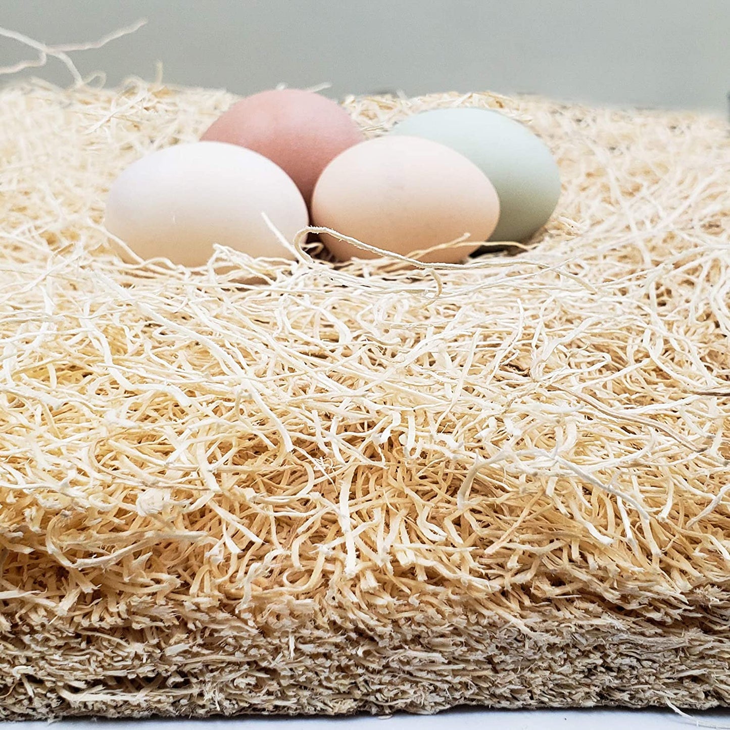 Premium Aspen 12 Pack Excelsior Nesting Liners (12 Pack), Chicken Bedding for Nesting Box, Nesting Pads Box Liners, Chicken Bedding for Coop, Chick Bedding, USA Grown & Sustainably Harvested