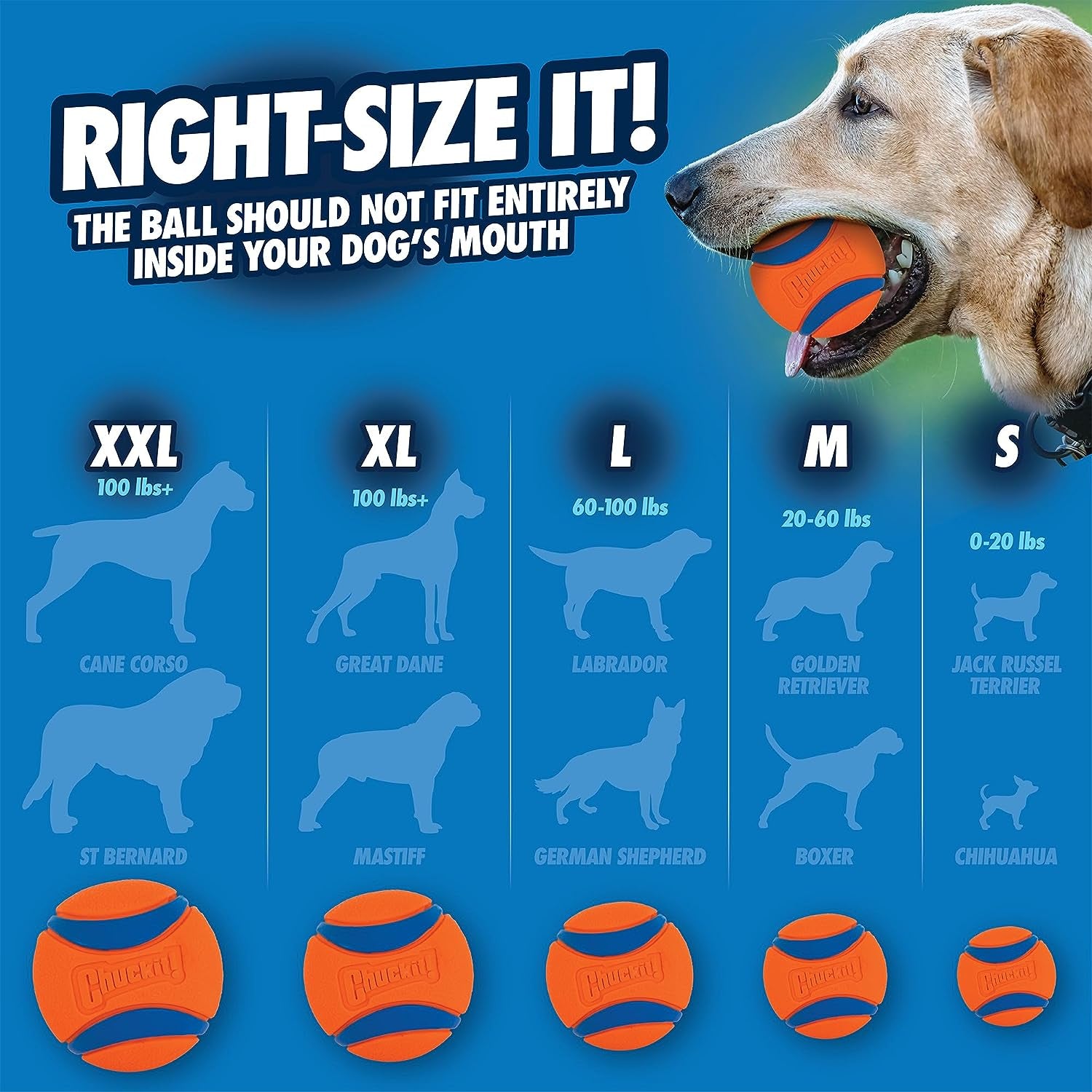 Chuckit! Ultra Ball Dog Toy, Medium (2.5 Inch Diameter) Pack of 2, for Breeds 20-60 Lbs