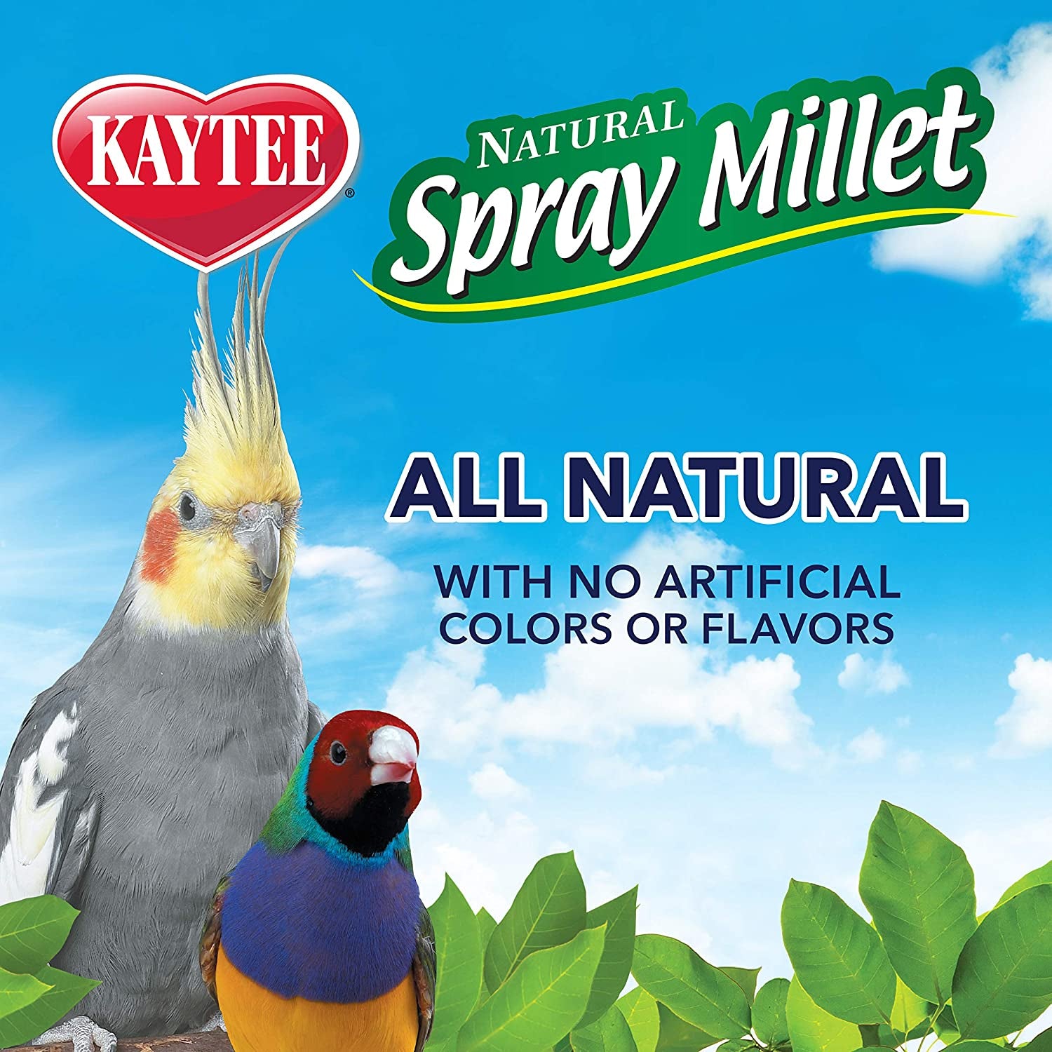 Kaytee Spray Millet Treat for Pet Birds, 7 Ounce