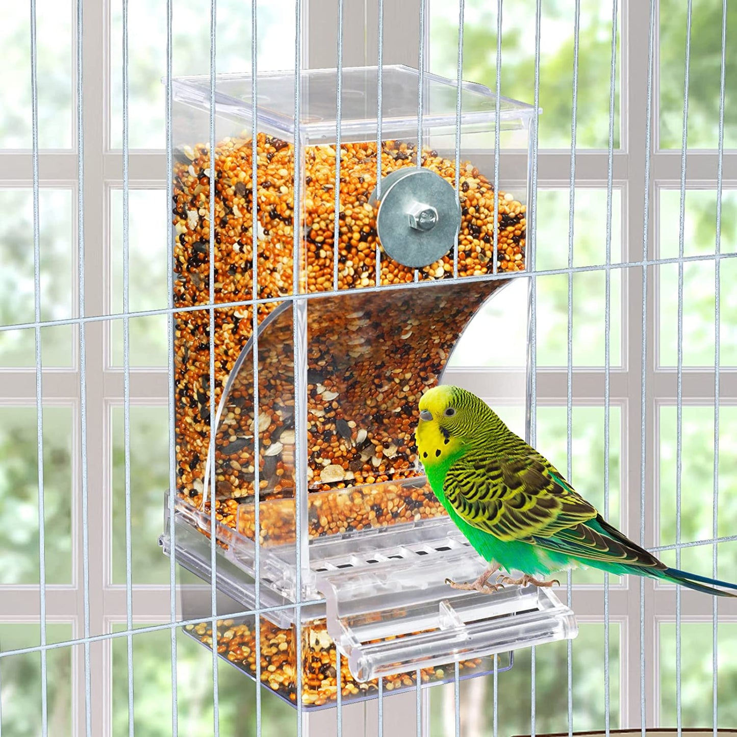 No Mess Automatic Bird Feeder Transparent Food Container Cage Acrylic Parrot Feeder Accessories for Small Birds Parrot Cockatoo Canary