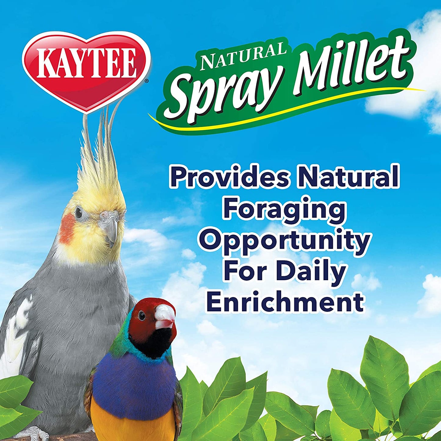 Kaytee Spray Millet Treat for Pet Birds, 7 Ounce