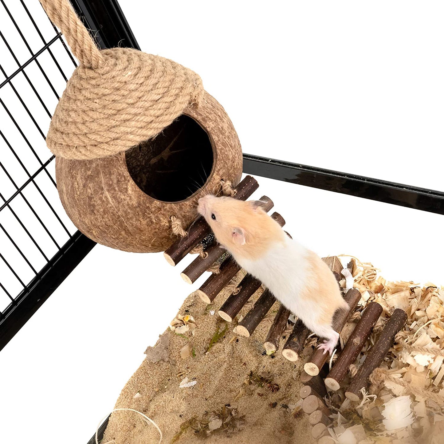 Coconut Bird Nest Hut with Ladder for Parrots Parakeet Conures Cockatiel - Small Animals House Pet Cage Habitats Decor